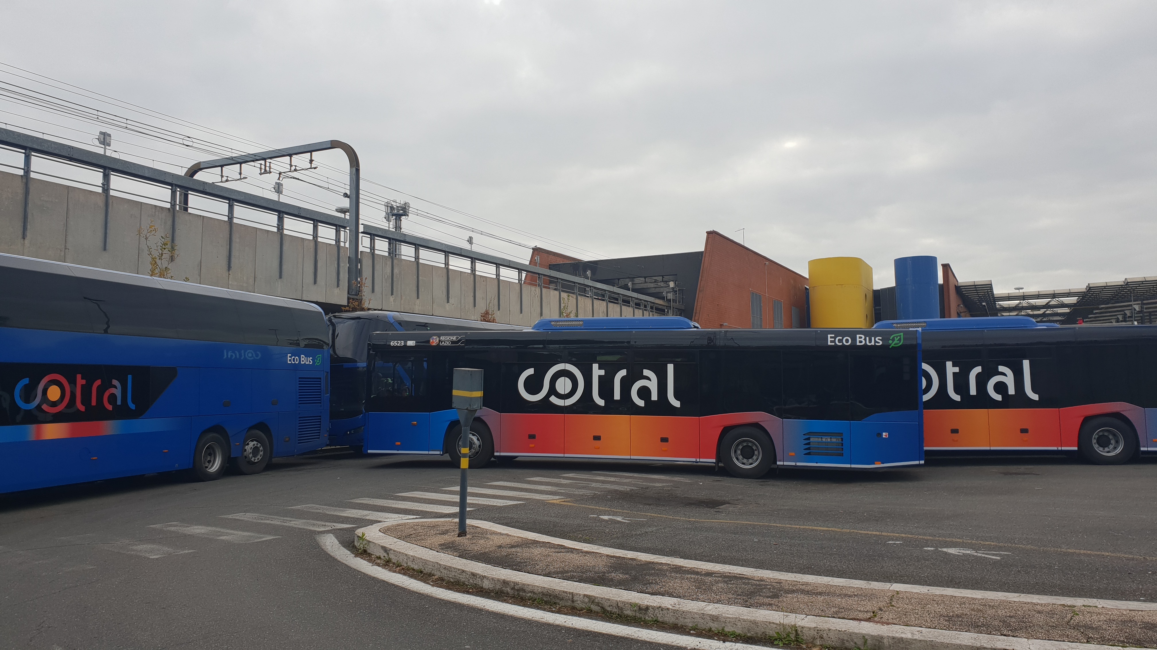nuovi-bus-cotral2